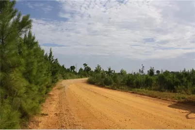 0 Balerma Church Road, Sparta, GA 31087 - Photo 1