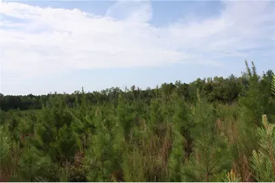 0 Balerma Church Road, Sparta, GA 31087 - Photo 14