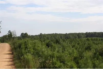 0 Balerma Church Road, Sparta, GA 31087 - Photo 6