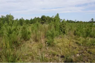 0 Balerma Church Road, Sparta, GA 31087 - Photo 16
