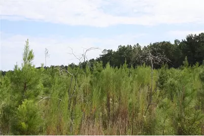 0 Balerma Church Road, Sparta, GA 31087 - Photo 12