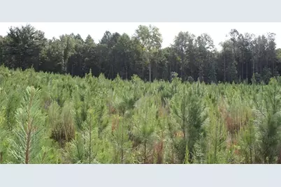 0 Balerma Church Road, Sparta, GA 31087 - Photo 18