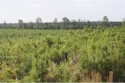 0 Balerma Church Road, Sparta, GA 31087 - Photo 2