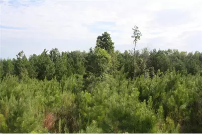 0 Balerma Church Road, Sparta, GA 31087 - Photo 12