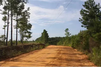 0 Balerma Church Road, Sparta, GA 31087 - Photo 14