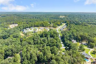 4444 Bos Way, Loganville, GA 30052 - Photo 54