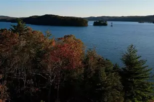 196 N Jakes Landing Way, Ellijay, GA 30540 - Photo 62