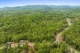 196 N Jakes Landing Way N, Ellijay, GA 30540 - Photo 64