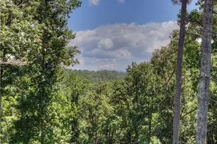 196 N Jakes Landing Way N, Ellijay, GA 30540 - Photo 38