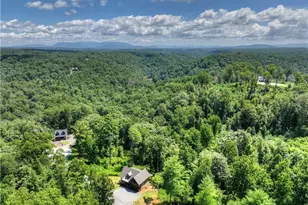 196 N Jakes Landing Way, Ellijay, GA 30540 - Photo 52