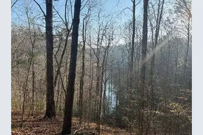 0 Elk Trail, Talking Rock, GA 30175 - Photo 4