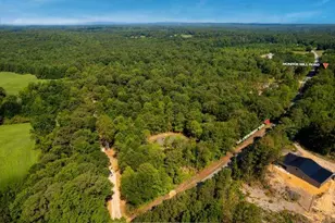 7824 Georgia Hwy 100, Buchanan, GA 30113 - Photo 42