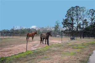 3221 Hollonville Rd, Williamson, GA 30292 - Photo 42