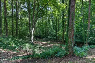 5215 Ferry Creek Ln, Acworth, GA 30102 - Photo 52