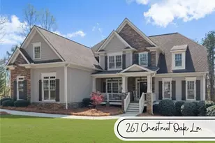 267 Chestnut Oak Ln, Dawsonville, GA 30534 - Photo 42