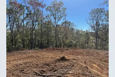 3.71 Yancy Drive, Dawsonville, GA 30534 - Photo 4