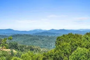 465 White Oak Cir, Blue Ridge, GA 30513 - Photo 2