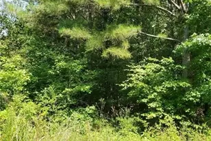 000 Dean Rd, Aragon, GA 30104 - Photo 1