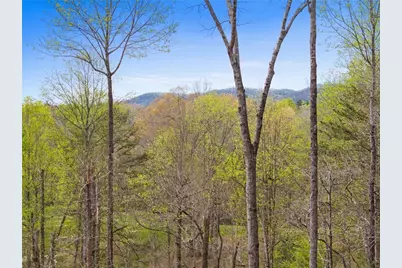 1134 Maggie Chapman Road, Blue Ridge, GA 30513 - Photo 2