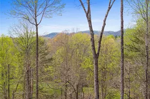 1134 Maggie Chapman Rd, Blue Ridge, GA 30513 - Photo 2