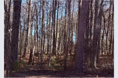 3297 Lakeview Parkway, Villa Rica, GA 30180 - Photo 1
