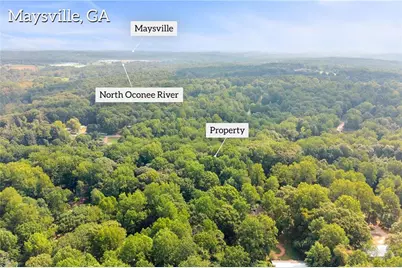 123 Berry Hill Lane, Hoschton, GA 30548 - Photo 42