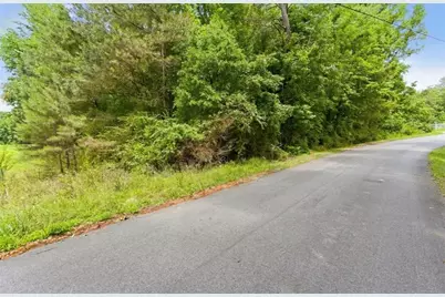 0 Lee Road, Cedartown, GA 30125 - Photo 4