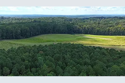 00001 Steadman Road, Tallapoosa, GA 30176 - Photo 22