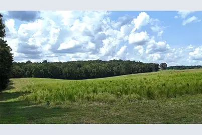 00001 Steadman Road, Tallapoosa, GA 30176 - Photo 20