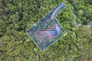 1030 Old Flat Branch Rd, Ellijay, GA 30540 - Photo 14