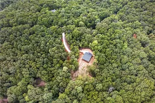 1030 Old Flat Branch Rd, Ellijay, GA 30540 - Photo 16