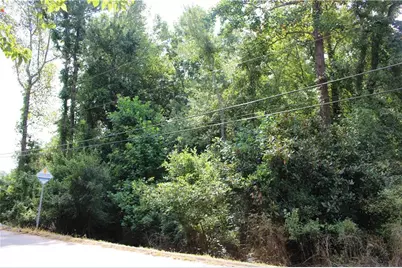 218 Ella Drive, Griffin, GA 30223 - Photo 2