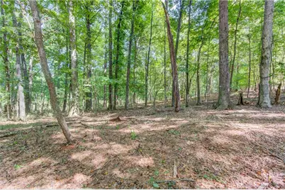 211 Buck Trail, Hoschton, GA 30548 - Photo 12