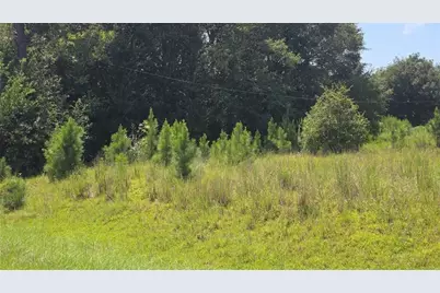 159 Grimsley Road, Colquitt, GA 39837 - Photo 4