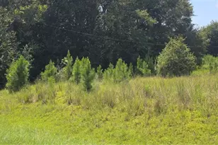 159 Grimsley Rd, Colquitt, GA 39837 - Photo 4
