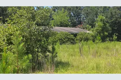 159 Grimsley Road, Colquitt, GA 39837 - Photo 2