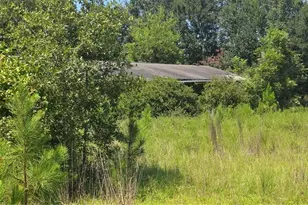 159 Grimsley Rd, Colquitt, GA 39837 - Photo 2