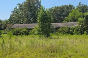 159 Grimsley Rd, Colquitt, GA 39837 - Photo 1