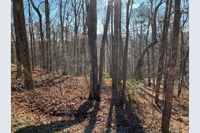 Lot #1 Forest Canopy Way, Clayton, GA 30525 - Photo 1