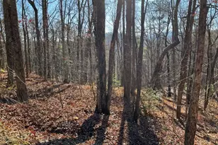 Lot #1 Forest Canopy Way, Clayton, GA 30525 - Photo 1