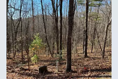 Lot #1 Forest Canopy Way, Clayton, GA 30525 - Photo 6