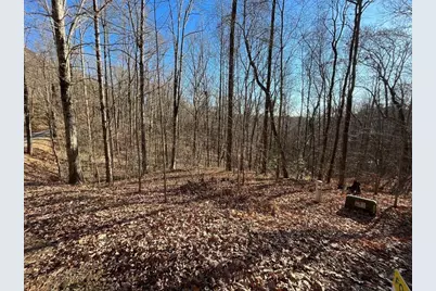 Lot #2 Forest Canopy Way, Clayton, GA 30525 - Photo 8
