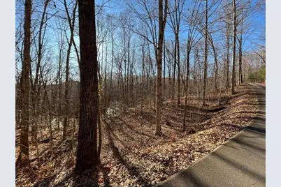 Lot #2 Forest Canopy Way, Clayton, GA 30525 - Photo 1