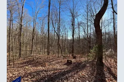 Lot #2 Forest Canopy Way, Clayton, GA 30525 - Photo 4