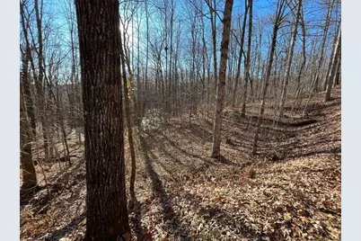Lot #2 Forest Canopy Way, Clayton, GA 30525 - Photo 6
