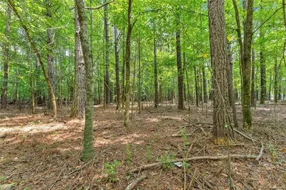 1097 Doster Road, Jefferson, GA 30549 - Photo 34