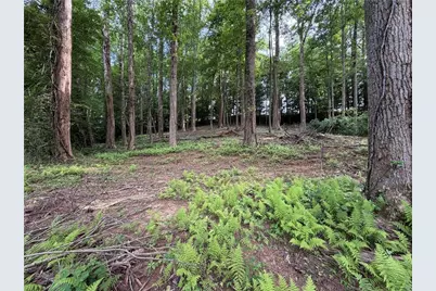 0 Martin Head Circle, Dahlonega, GA 30533 - Photo 4