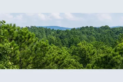 0 Shallow Water Way, Talking Rock, GA 30175 - Photo 2