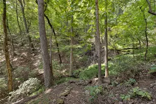 87 Garden Ln, Cleveland, GA 30528 - Photo 42