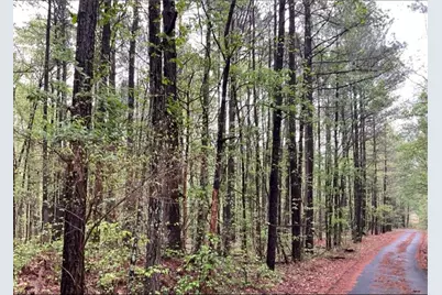 0 Labudde Lane, Colbert, GA 30628 - Photo 2